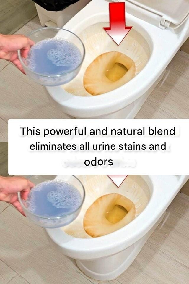 This powerful and natural blend eliminates all urine stains and odors