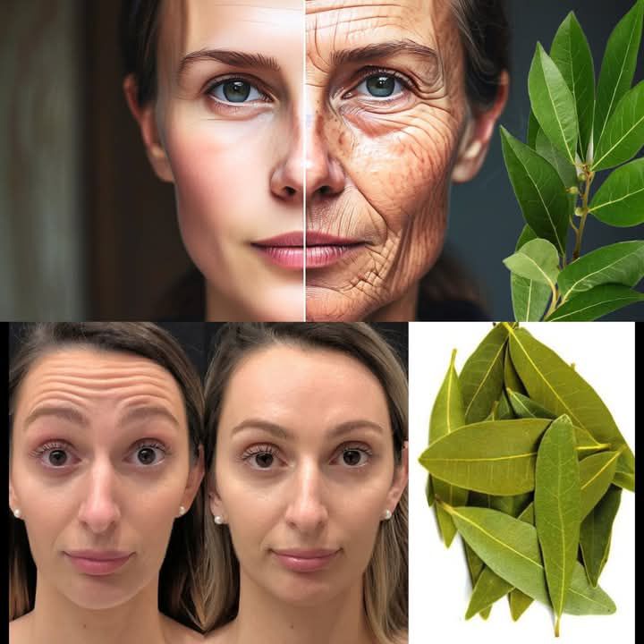 Bay leaf is a million times stronger than Botox and collagen. Removes all wrinkles and fine lines