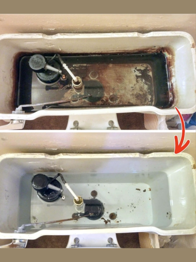 How to Use Laundry Detergent for Cleaning the Toilet – A Brilliant Hack That Leaves Your Bathroom Smelling Fresh 🧺🧼