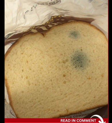 Stale Bread: When It’s Safe to Eat and When to Toss It