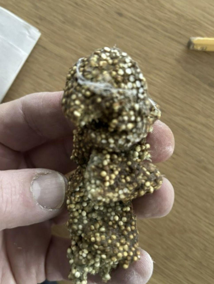 Most Nostalgic Moment of My Week: I Found Old Floam Under the Shelf