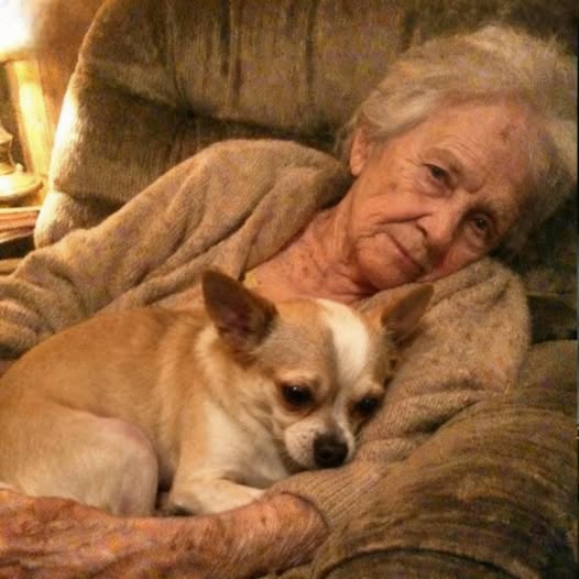 My Smart Home Said She Was Fine, But Her Silence Was Freezing!