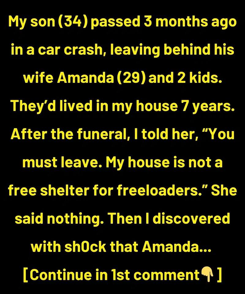 I Kicked Out My DIL and Grandkids After My Son’s D3ath, My House Is Not a Free Hotel