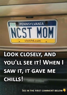 A Plate That Slipped Through: The Viral Case