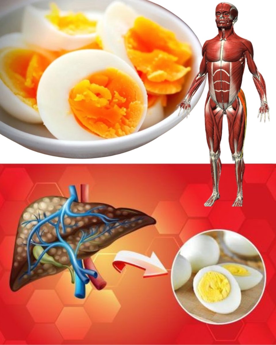 Why Boiled Eggs Deserve a Special Place at Your Breakfast Table