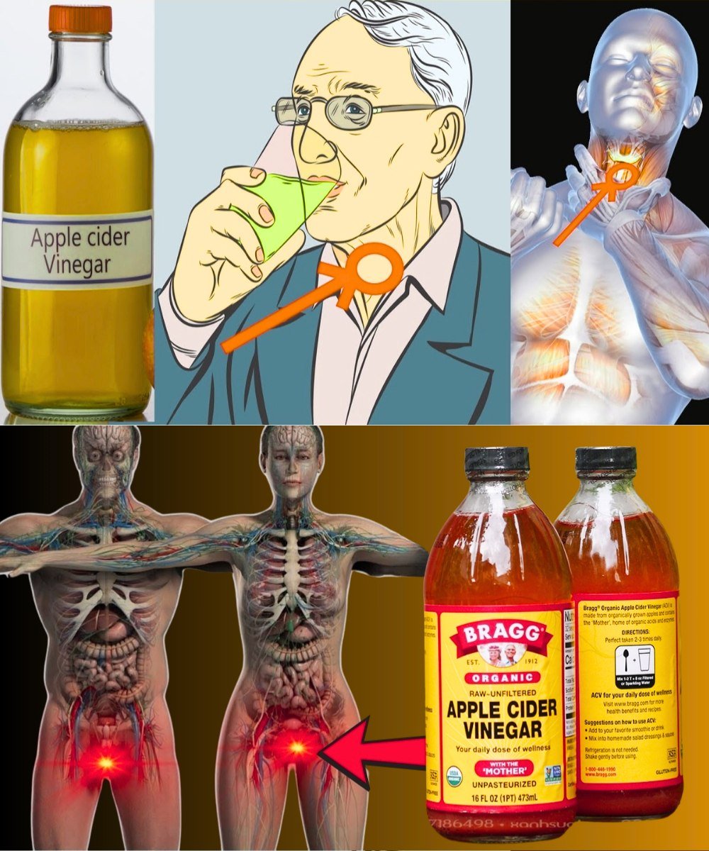 Apple Cider Vinegar: A Simple, Natural Way to Support Your Daily Wellness