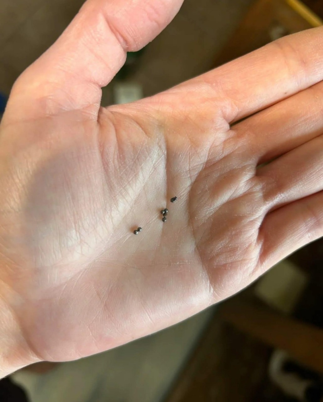 Found Metal Balls Under Your Kitchen Sink? Here’s What They Mean