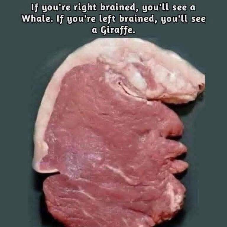 How These Tests Work