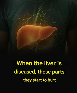 When the liver is diseased, these parts begin to hurt