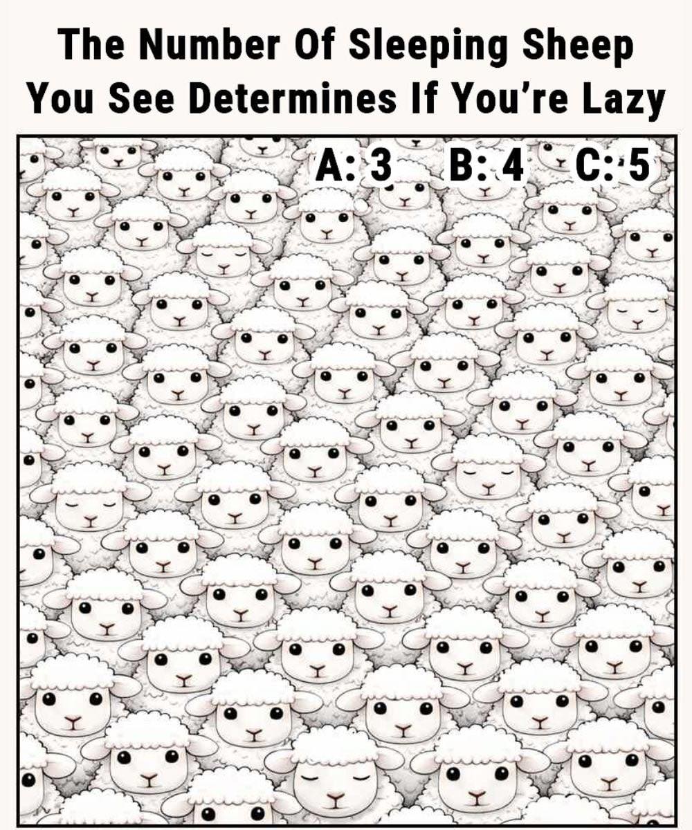 The Number Of Sleeping Sheep You See Determines If You’re Lazy