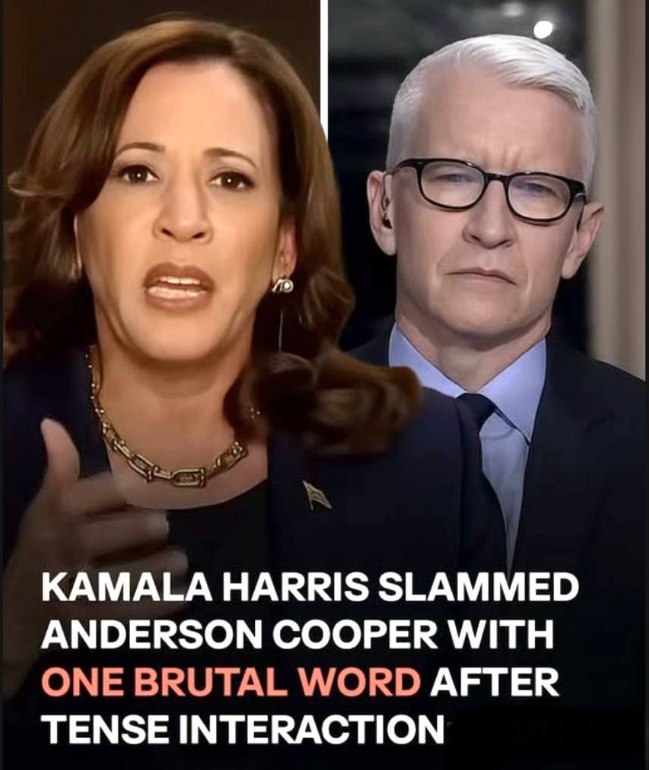 Harris Campaign Accounts Relaunch on X and TikTok, Sparking 2028 Buzz