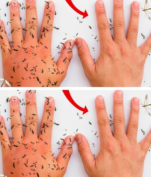 Why do mosquitoes bite you and how to fix it